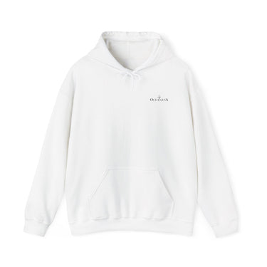 Unisex Heavy Blend™ Hooded Sweatshirt- 6 Sizes to choose from - 20501085053780200449 DTG, Hoodies, Men's Clothing, Neck Labels, Regular fit, TikTok, Unisex, Women's Clothing
